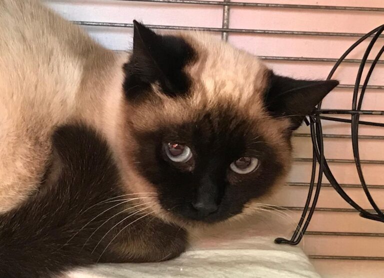 multimedia-foto68840-864-1