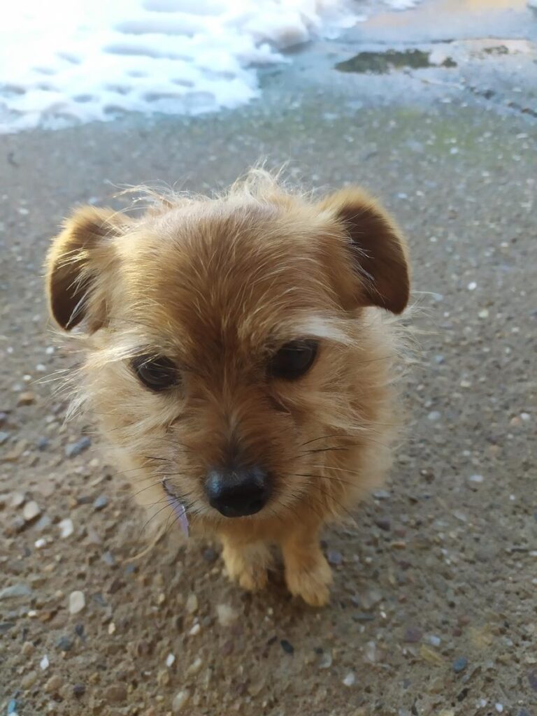 multimedia-foto68857-394-1