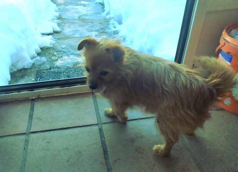 multimedia-foto68859-395-1