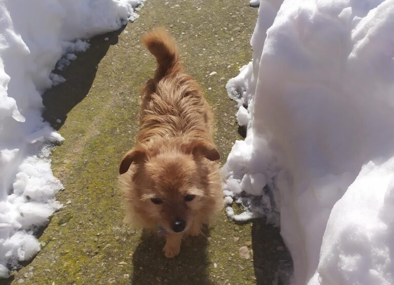 multimedia-foto68860-396-1