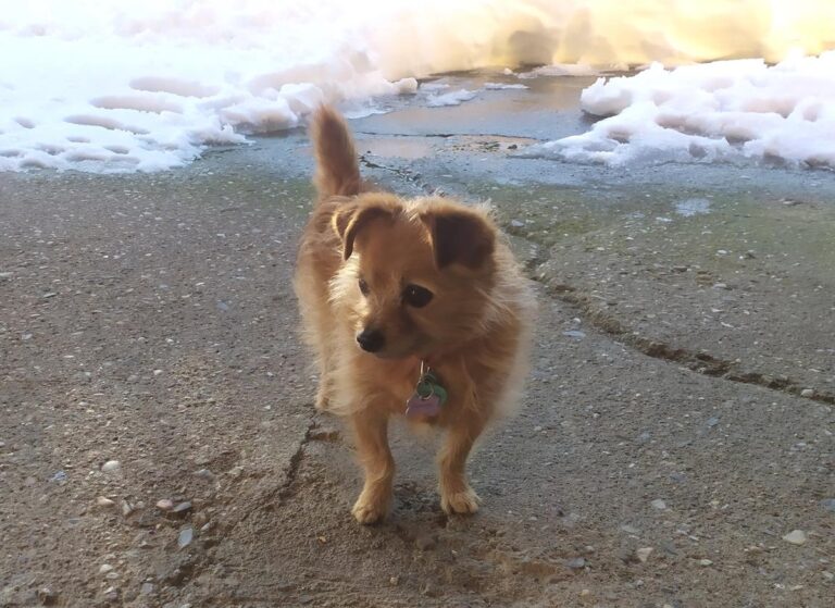 multimedia-foto68861-397-1