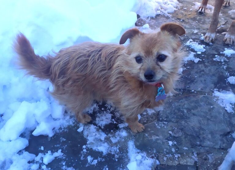 multimedia-foto68862-397-1