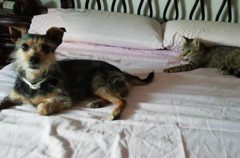 multimedia-foto68867-695-1