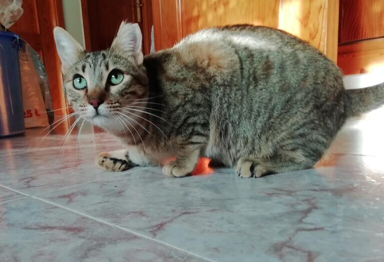 multimedia-foto68875-699-1