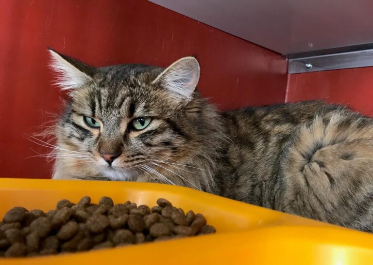 multimedia-foto68880-146-1