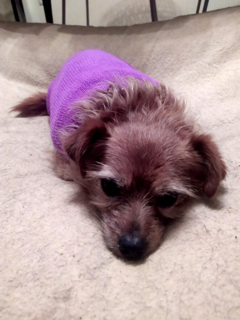 multimedia-foto68888-350-1