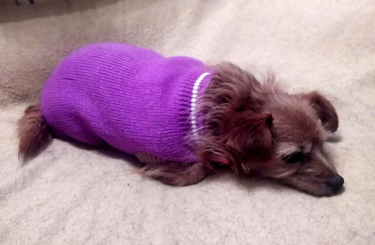 multimedia-foto68889-351-1