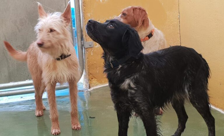 multimedia-foto68890-207-1