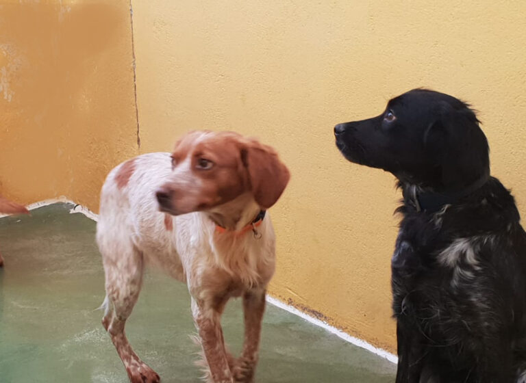 multimedia-foto68892-208-1