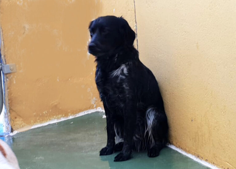 multimedia-foto68893-209-1