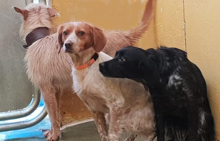 multimedia-foto68894-209-1