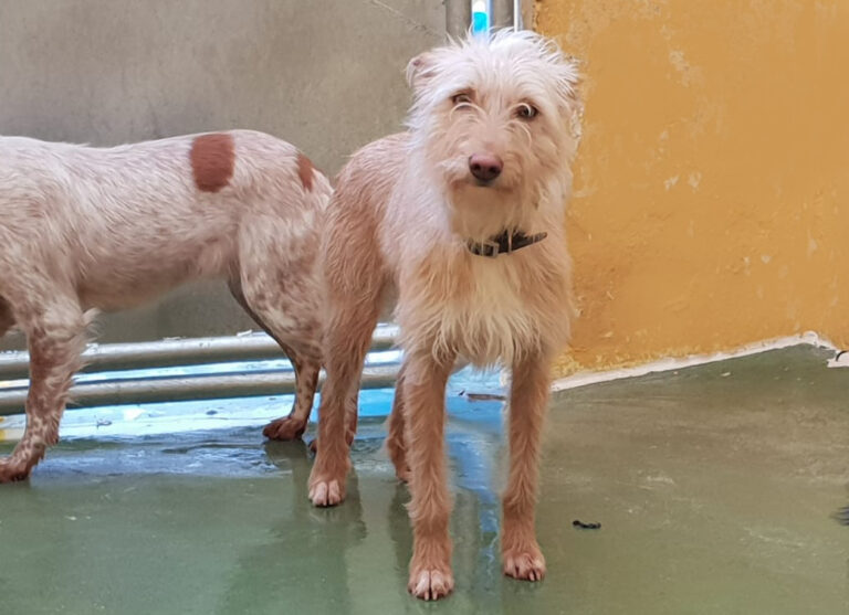 multimedia-foto68899-322-1