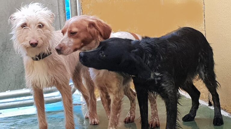 multimedia-foto68901-323-1