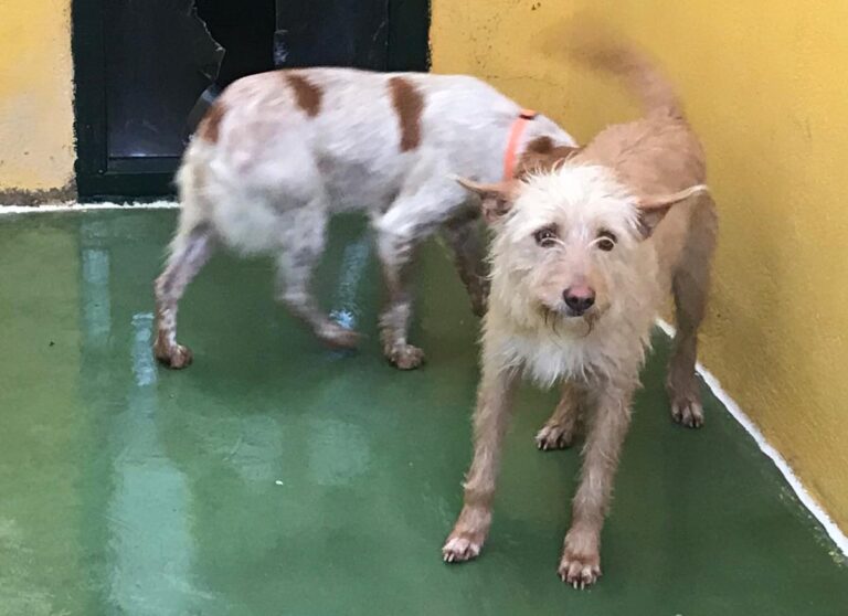 multimedia-foto68903-363-1