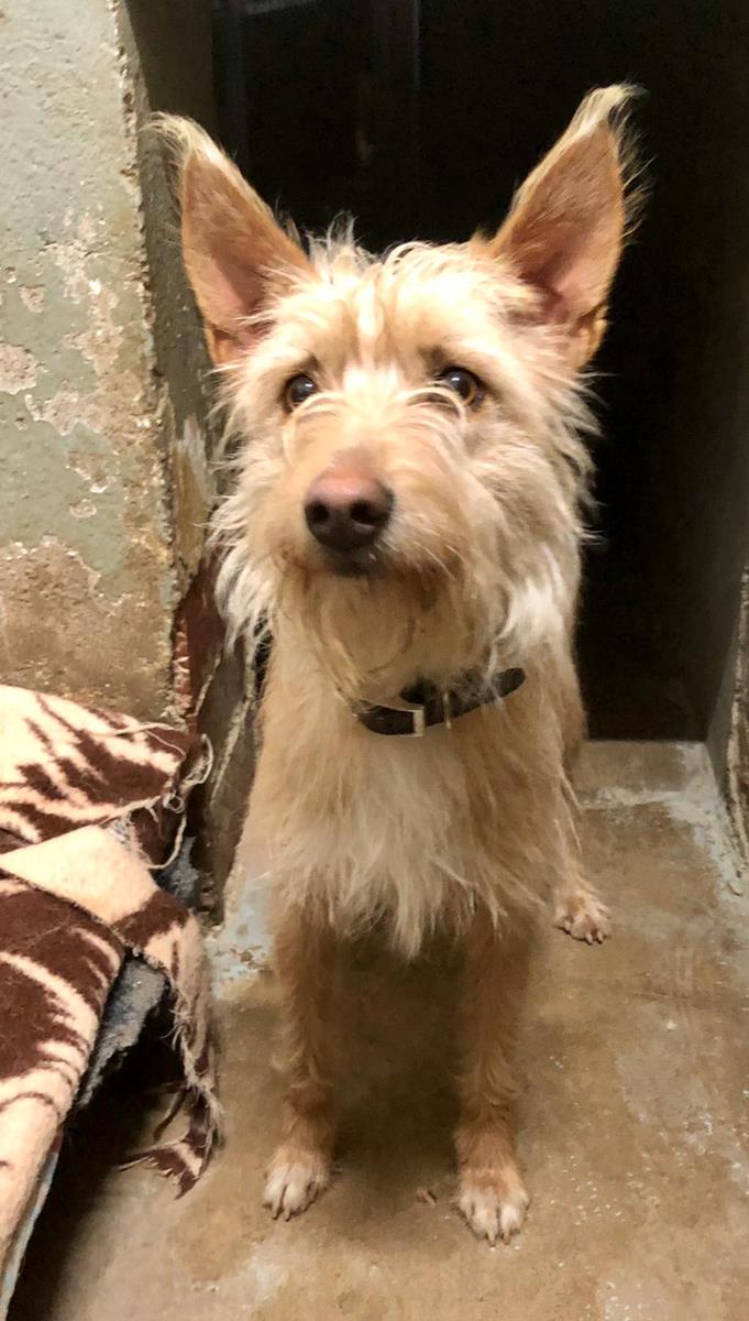 multimedia-foto68904-364-1