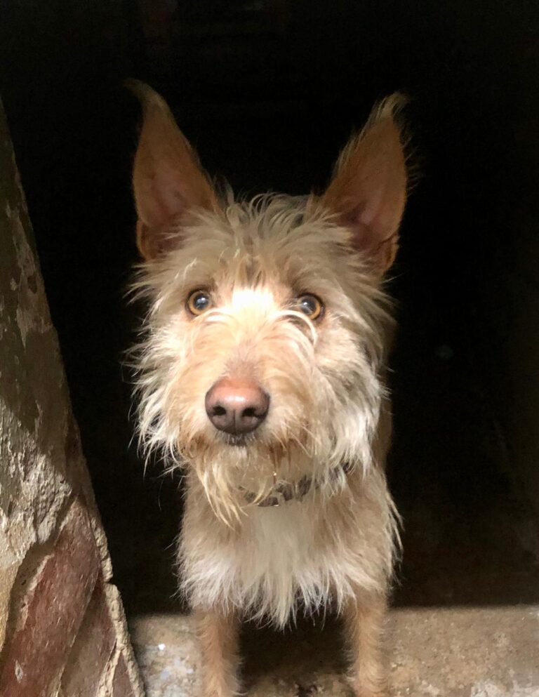 multimedia-foto68905-364-1