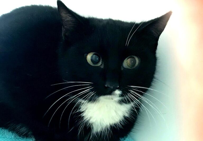 multimedia-foto68912-326-1