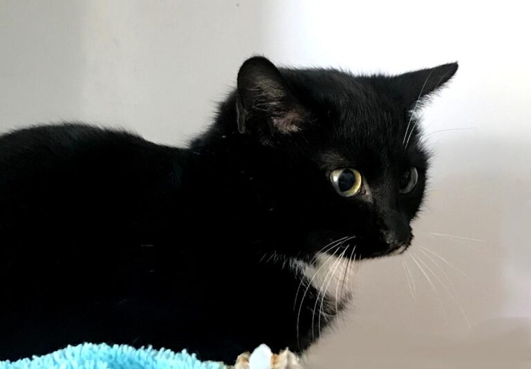 multimedia-foto68914-327-1