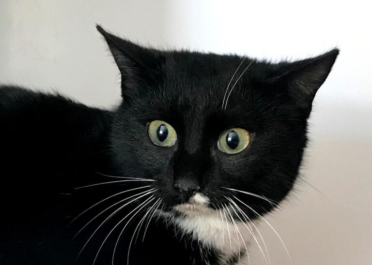 multimedia-foto68915-327-1