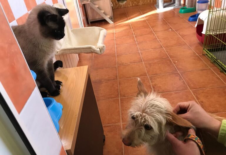 multimedia-foto68933-44-1