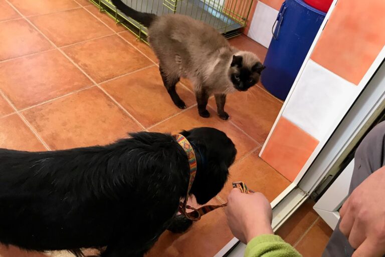 multimedia-foto68938-134-1