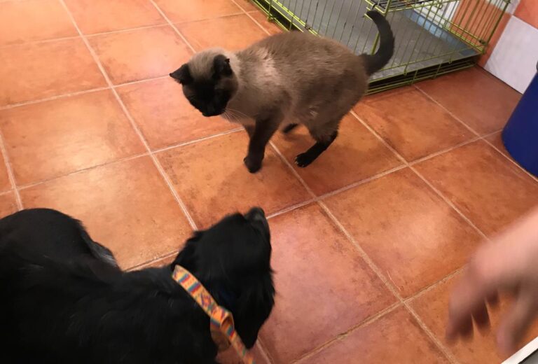 multimedia-foto68939-135-1