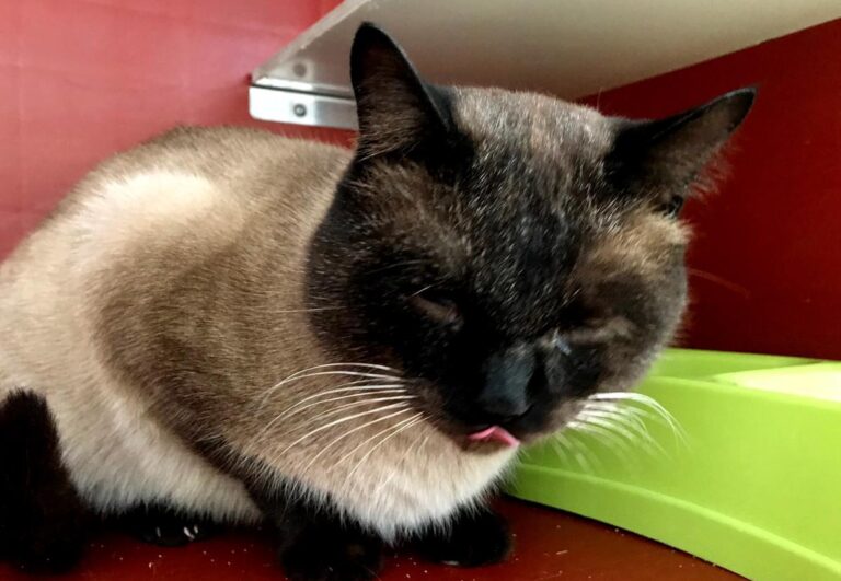 multimedia-foto68967-448-1