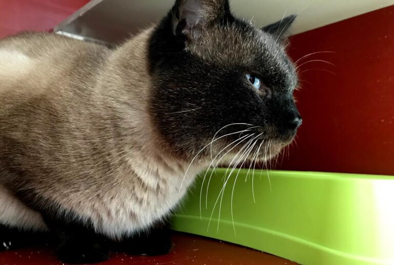 multimedia-foto68969-449-1