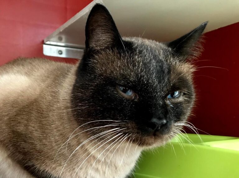 multimedia-foto68970-449-1