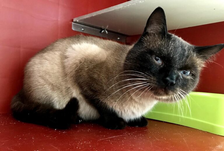 multimedia-foto68971-450-1