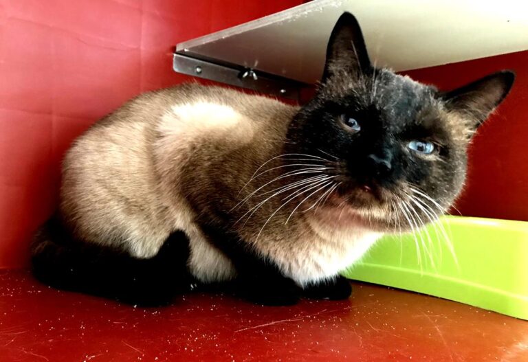 multimedia-foto68972-451-1