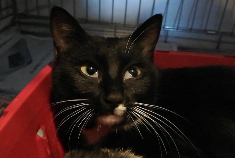 multimedia-foto69052-701-1