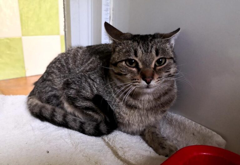 multimedia-foto69078-478-1