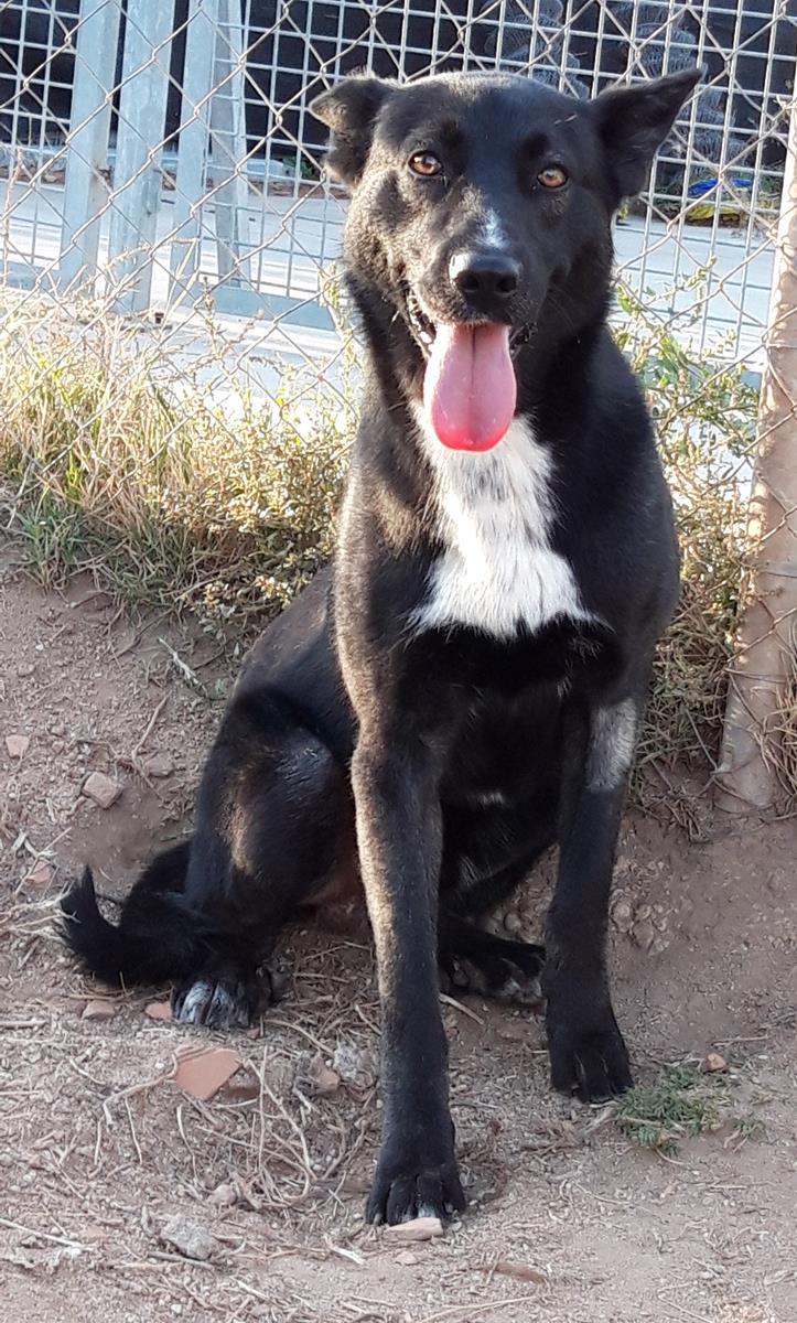 multimedia-foto69081-245-1