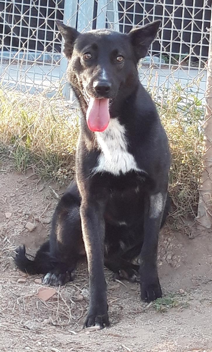 multimedia-foto69082-246-1