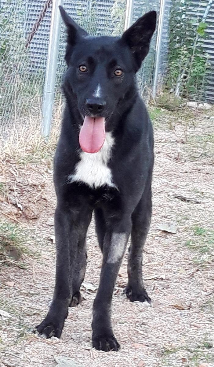 multimedia-foto69083-246-1