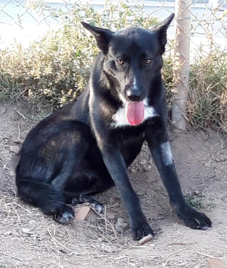 multimedia-foto69085-248-1