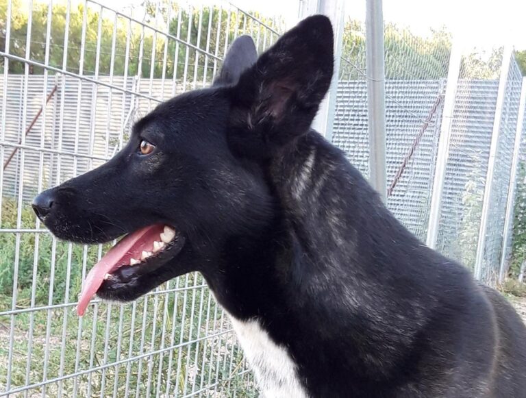 multimedia-foto69086-248-1