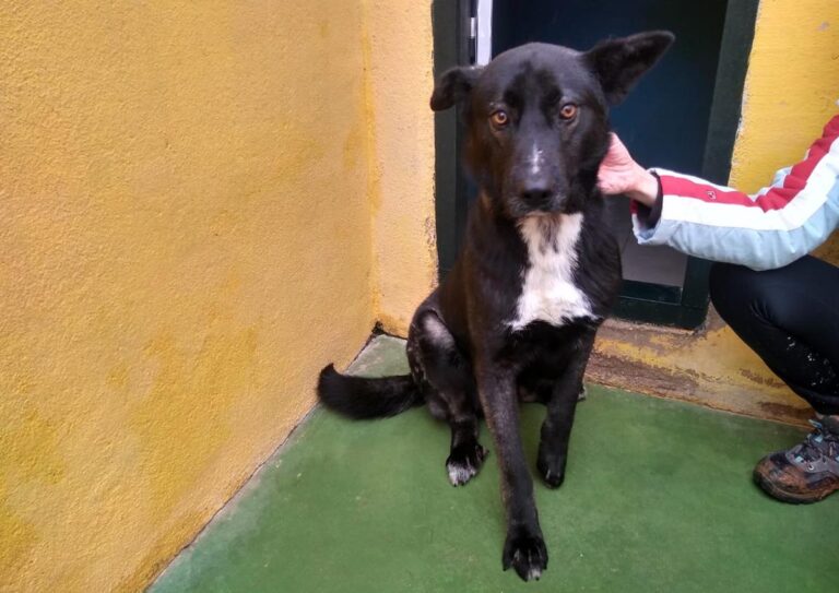 multimedia-foto69087-299-1