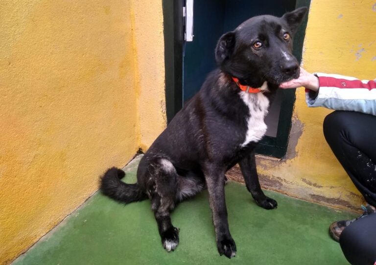 multimedia-foto69088-300-1