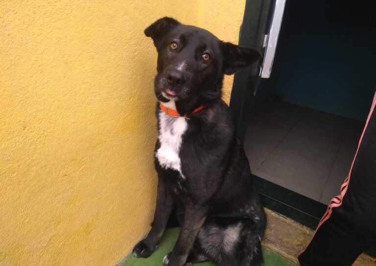 multimedia-foto69089-300-1