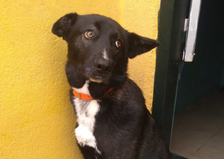 multimedia-foto69091-301-1