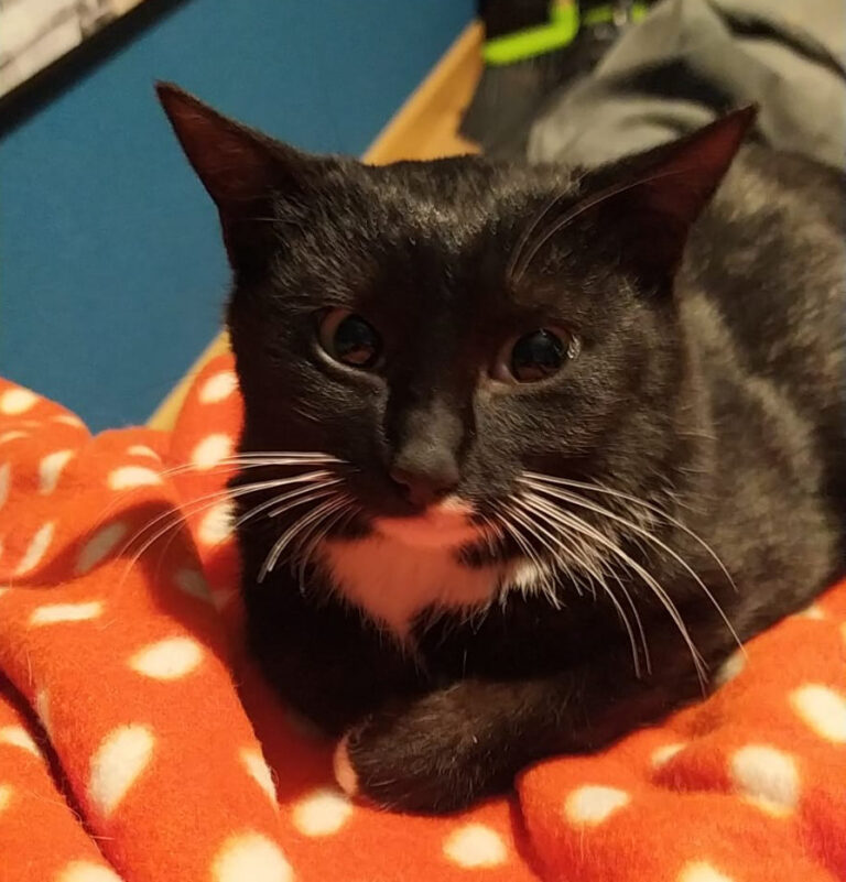 multimedia-foto69094-261-1