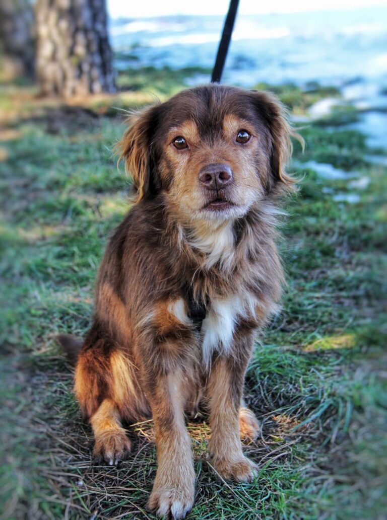 multimedia-foto69096-495-1