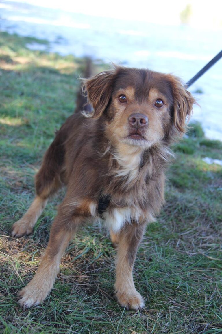 multimedia-foto69097-495-1