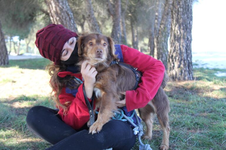 multimedia-foto69099-496-1