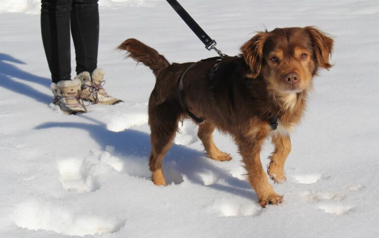 multimedia-foto69100-496-1