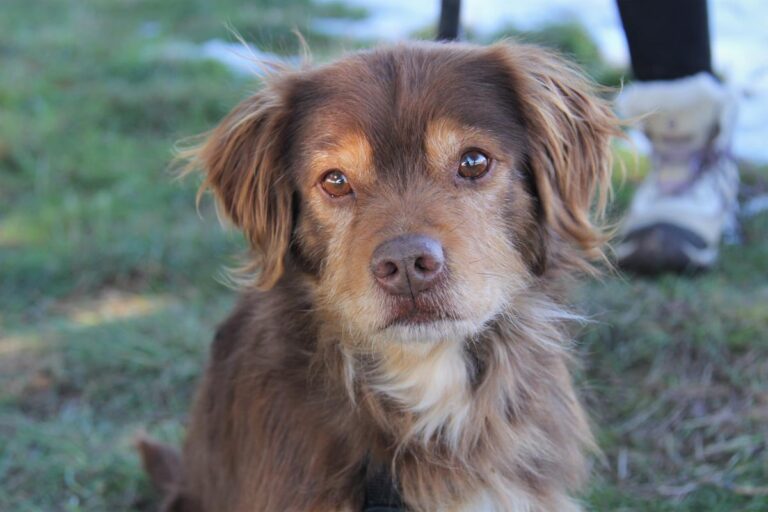 multimedia-foto69101-497-1