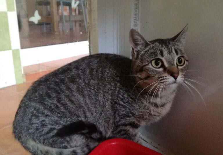 multimedia-foto69187-902-1