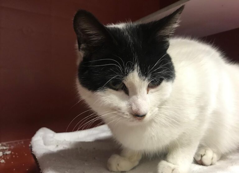 multimedia-foto69232-404-1